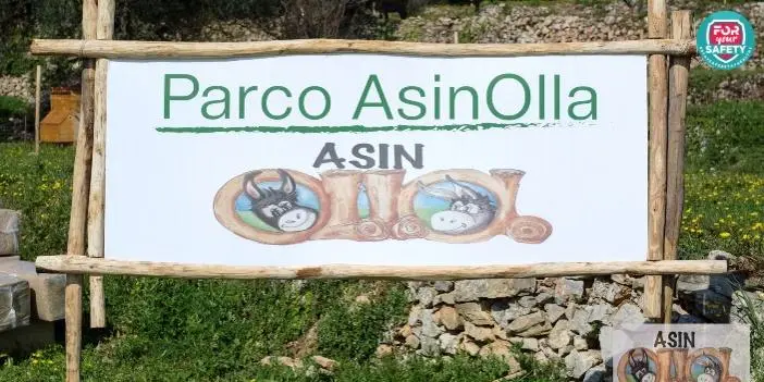 AsinOlla