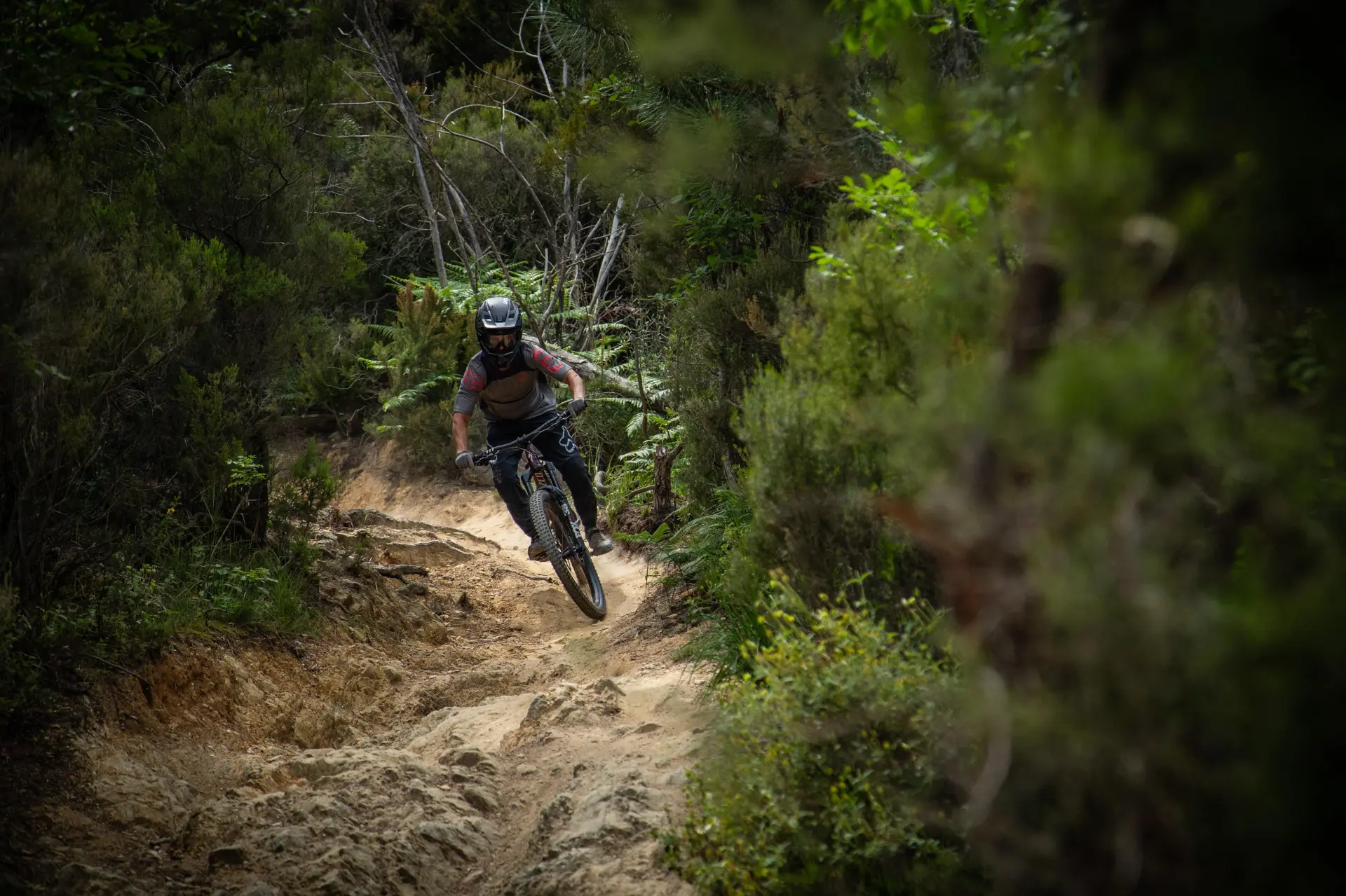 Atlas Ride Co