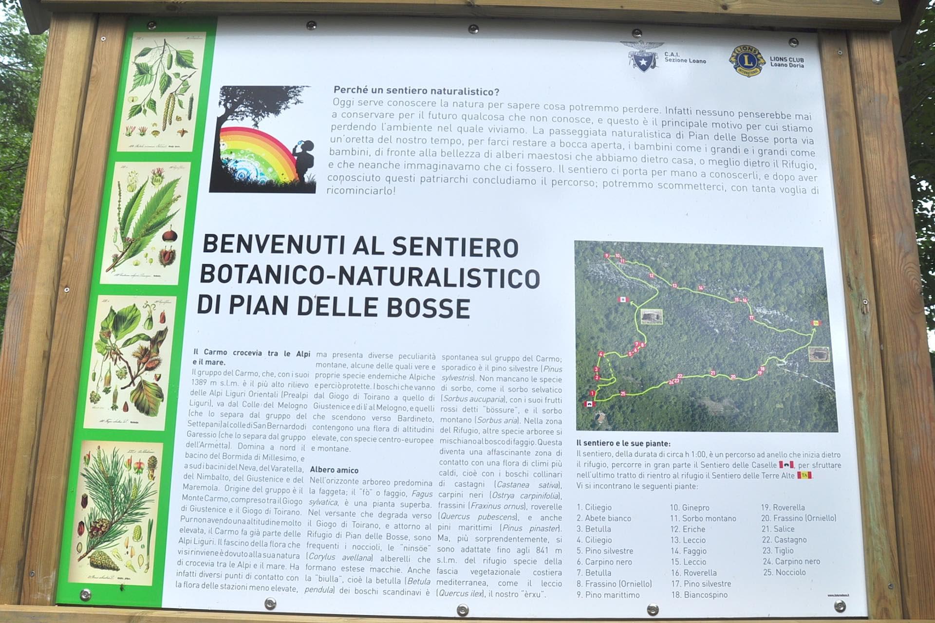 Area_1_EXP_PianBosse_2_Ph_Francesca_Magillo.jpg