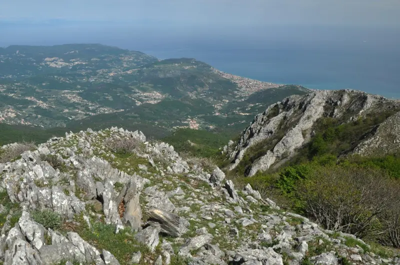Carmo: the beeline