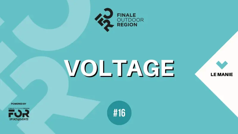 Voltage