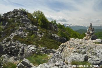 1_EXP_BalziRossi_1.JPG 1_EXP_BalziRossi_1.JPG