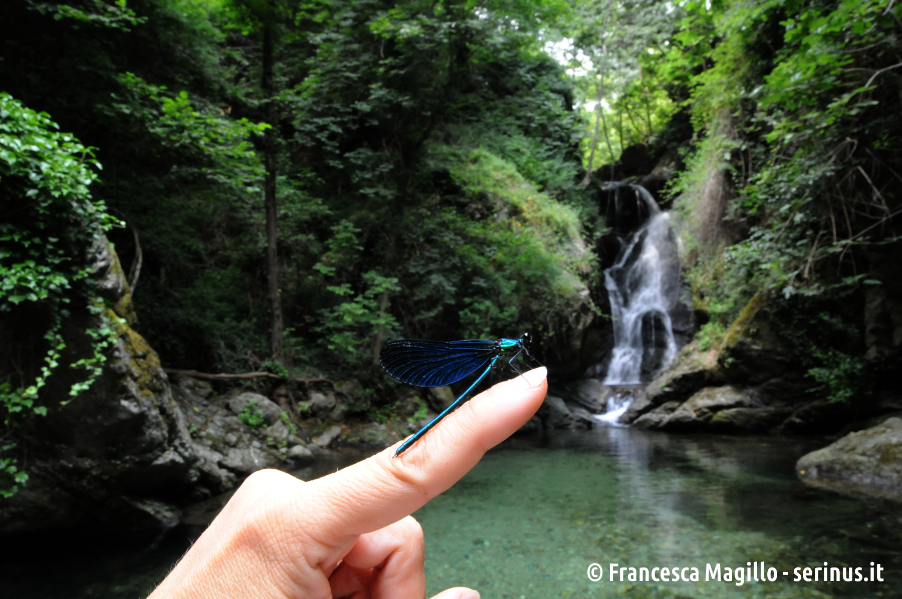 2_EXP_Cascata_1.JPG 2_EXP_Cascata_1.JPG